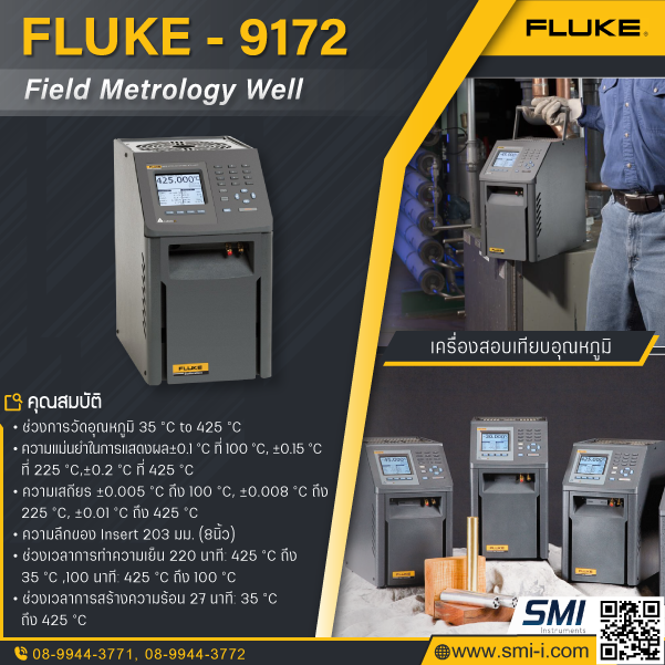 SMI info FLUKE CALIBRATION 9172 Field Metrology Well ( 35 C to 425 C )